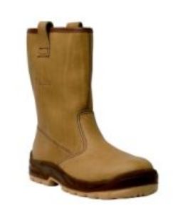 Afbeelding - 1653781-jpg